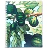 Liste des grands vins 1961 Nicolas : sous le signe des fruits de la terre de France, peintures de Georges Rohner. Draeger Frères