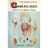 Coquillages espèces du monde entier, par Tucker Abbott, Petit guide Hachette n°117.  1964