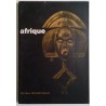 Afrique : cent tribus – cent chefs-d’oeuvre, collectif, Musée des Arts Décoratifs-Palais du Louvre.
