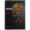 Afrique : cent tribus – cent chefs-d’oeuvre, collectif, Musée des Arts Décoratifs-Palais du Louvre.