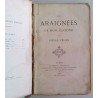 Les Araignées de mon plafond, par Pierre Véron, E. Dentu Éditeur.