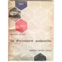 La Peinture actuelle, par Michel Ragon, Librairie Arthème Fayard